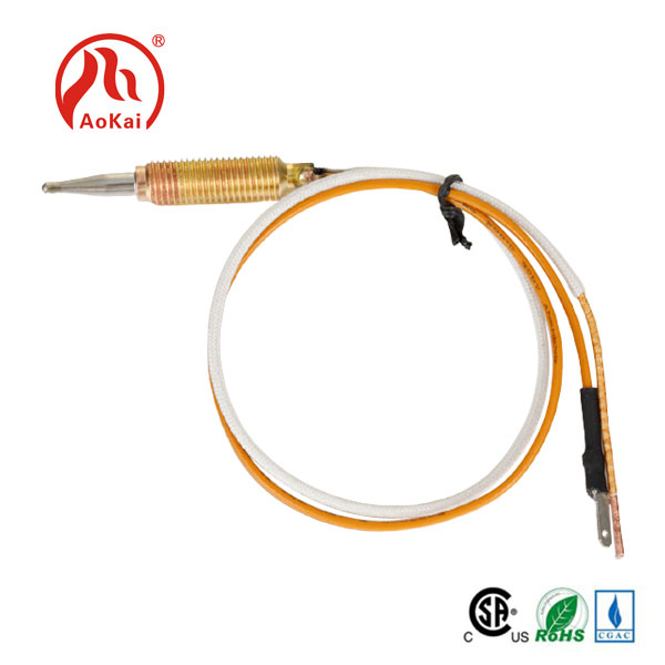 Thermocouple Cegin Diogel